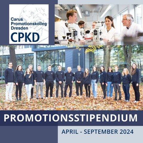 CPKD Promotionsstipendium