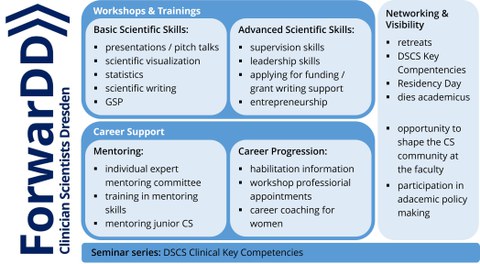 Grafische Darstellung der Inhalte der ForwarDD Geförderten: Workshop & Trainings, Career Support, Networking & Visibility 