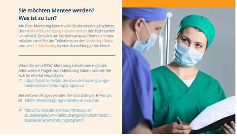 Header_Mentoring