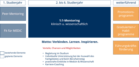 Mentoring Übersicht MEDiC
