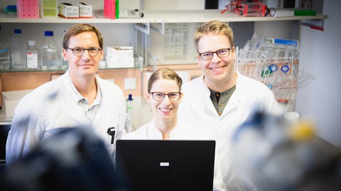 Prof. Daniel Stange, MSc Juliane Fohgrub, Tim Schmäche, Doktorand NCT