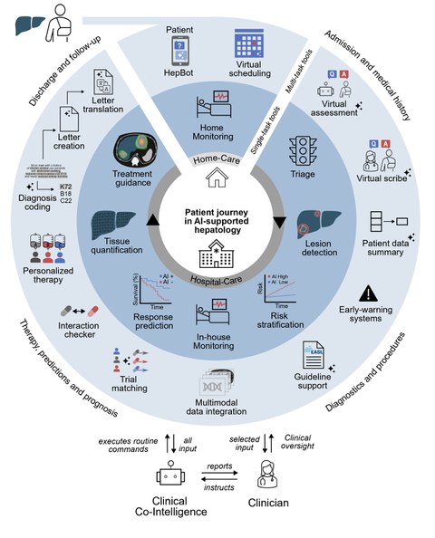 The figure showing various steps of patient journey.