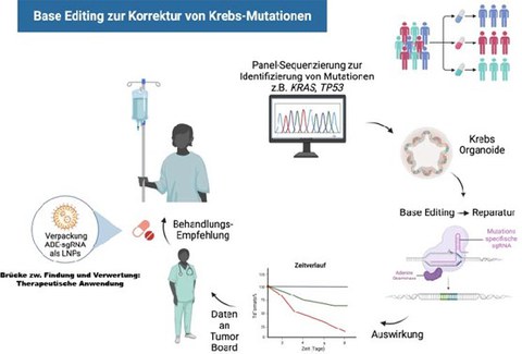 Schematische Abbildung der Anwendung von Base-Editing-Prozess zur Korrektur von Krebs-Mutationen.