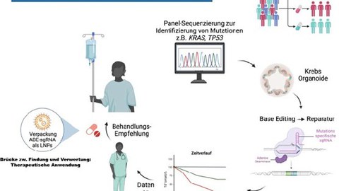 Schematische Abbildung der Anwendung von Base-Editing-Prozess zur Korrektur von Krebs-Mutationen.