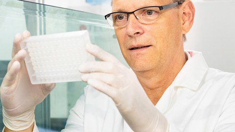 Prof. Frank Buchholz