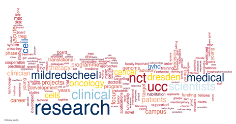 Eine bunte Wortwolke mit Schtichwörtern zum Mildred-Scheel-Nachwuchszentrum.
