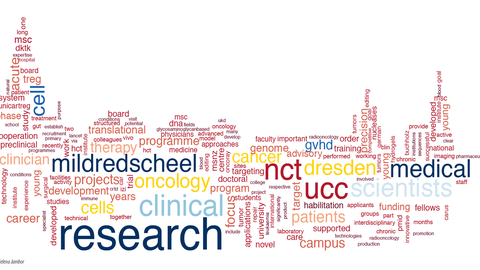 Eine bunte Wortwolke mit Schtichwörtern zum Mildred-Scheel-Nachwuchszentrum.