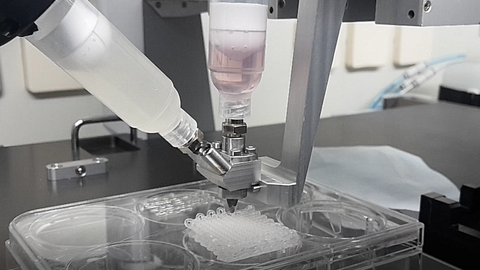 Bioprinting2_Gelinsky