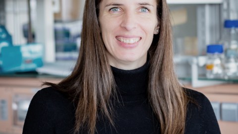 Professorin Dr. Martina Rauner