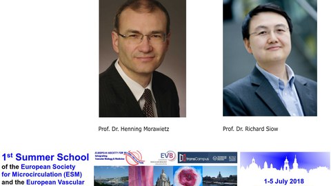 Prof. Dr. Henning Morawietz, Prof. Dr. Richard Siow, Summer School 2018