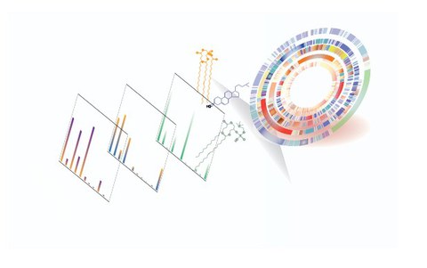 Neues Shotgun-Lipidomics-Verfahren