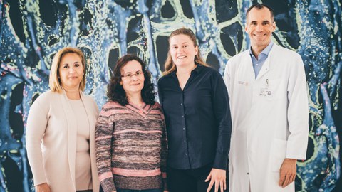 Das Team: Prof. Maria Teresa Pisabarro, Dr. Gloria Ruiz Gómez, Dr. Juliane Salbach-Hirsch und Prof. Lorenz Hofbauer (v.l.n.r.)