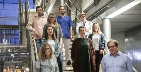 Das Dresdner Forscherteam um Prof. Andreas Linkermann (r.)