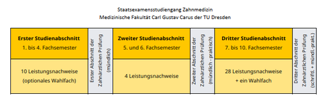 Übersicht-ZM-Studium gesamt