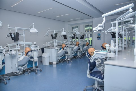 Praxis- Zahnmedizin