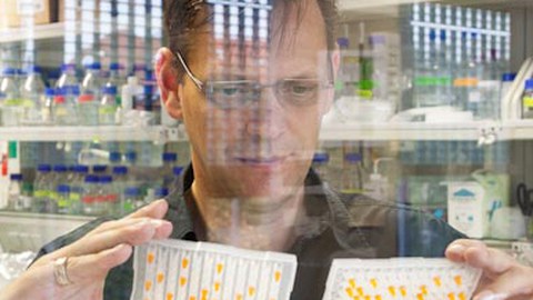 Prof. Dr. Frank Buchholz looking at samples