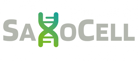 SaxoCell-Logo aus grauen Großbuchstaben mit dem X als grüne DNA-Helix