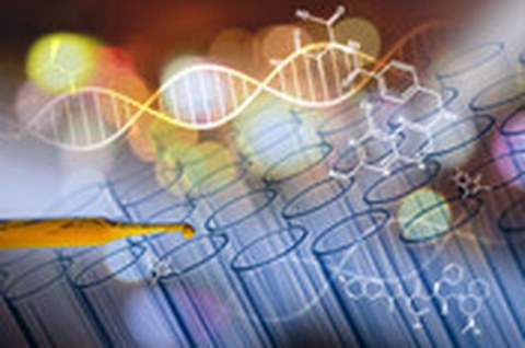 Experiment DNA