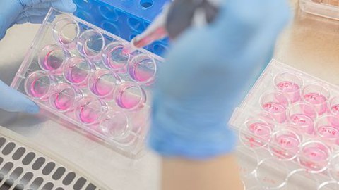 Pipette im Labor beim Experimentieren