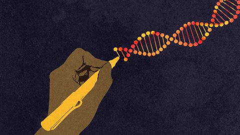 Genome Writing
