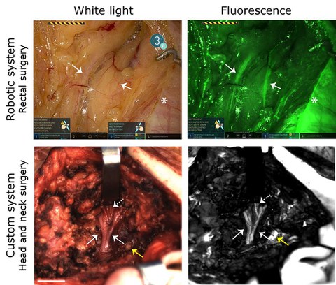 Functional Imaging