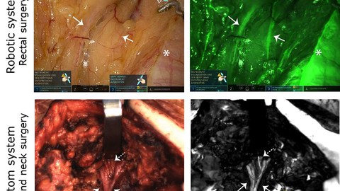 Functional Imaging