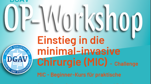 DGAV OP-Workshop