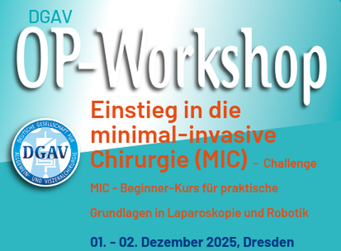 DGAV OP-Workshop