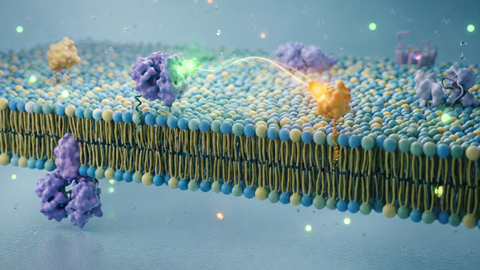 proteins SLB