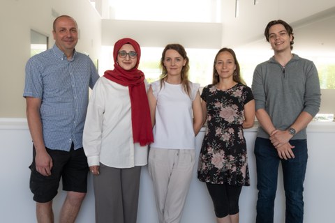 Group_Grzybek_2026_06