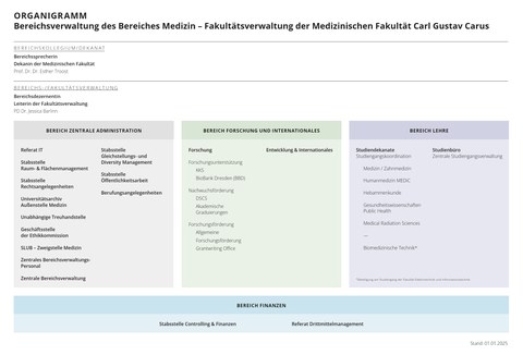 Organigramm BV 2025