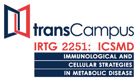 transCampus IRTG 2251