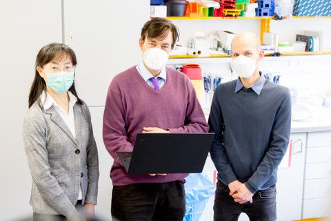  Prof. Dr. rer. nat. Kaomei Guan;  Prof. Dr. med. Stefan R. Bornstein PhD;  Dr. rer. nat. Coy Brunssen 