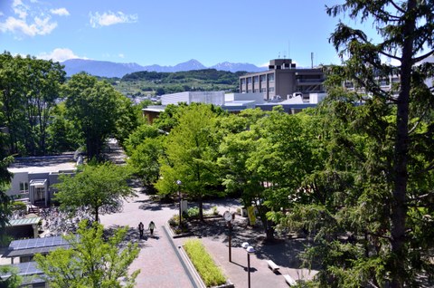 Campus der Shinshu University School Of Medicine mit einem Weg und grünen Bäumen. Im Hintergrund ist ein Gebirge.