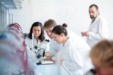 Studierende sitzen vor einem Mikroskop und arbeiten. Ein Mann im weißen Kittel steht hinter ihnen.