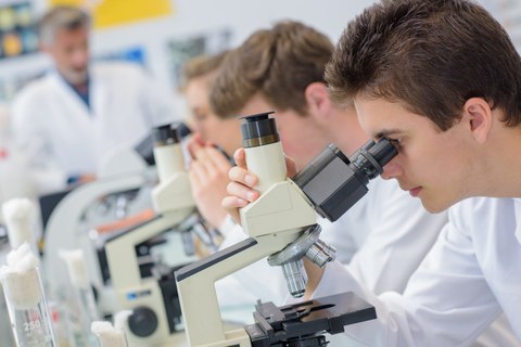 Drei junge Männer in weißen Kitteln schauen durch Mikroskope