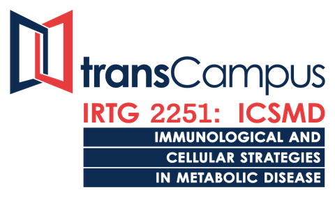 Logo_IRTG_2251