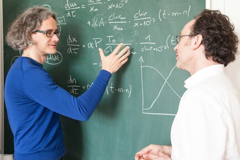 Dr. Ingmar Glauche und Prof. Ingo Röder vom Institut für Medizinische Biometrie und Statistik der TU Dresden