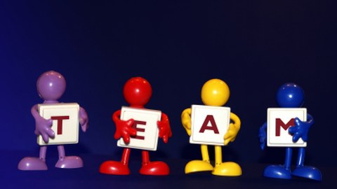 Team