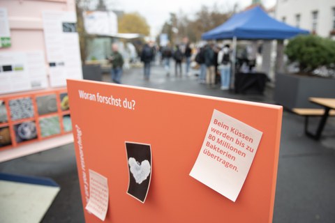 Postkarten von Bakterienkolonien auf mobilen Sitzgelegenheiten der Wanderausstellung Bakteriopolis