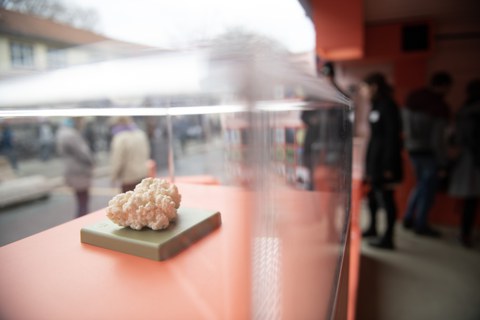 Modell eines Kefirkristalls von Original SOMSO® Modelle, ausgestellt in Wanderausstellung Bakteriopolis