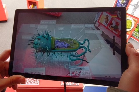 Augmented Reality Anwendung zu Erkundung der Bestandteile einer Bakterienzelle