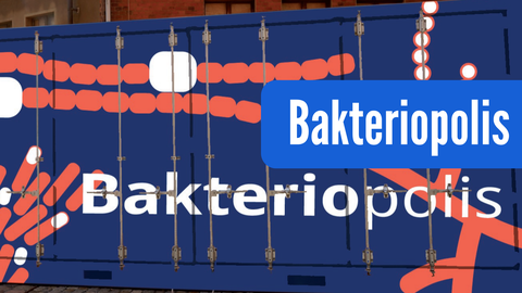 Bakteriopolis 2024