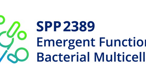 LoGo SPP2389