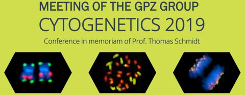 GPZ cytogenetics