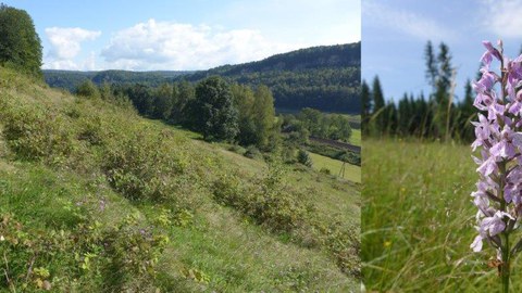 Gedächtnis der Landschaft