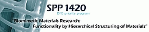 SPP1420_Logo