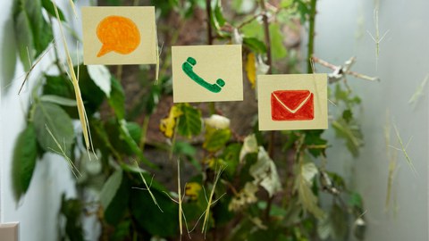 dekorativ Telefon-, Sprechblasen- und Brieficon an Glasscheibe mit Stabschrecken