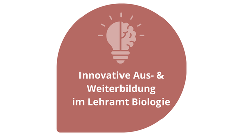 dekorativ 2. Ziel Innovative Aus- und Weiterbildung im Lehramt Biologie