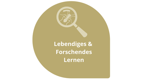 dekorativ 1. Zeil Lebendiges & Forschendes Lernen